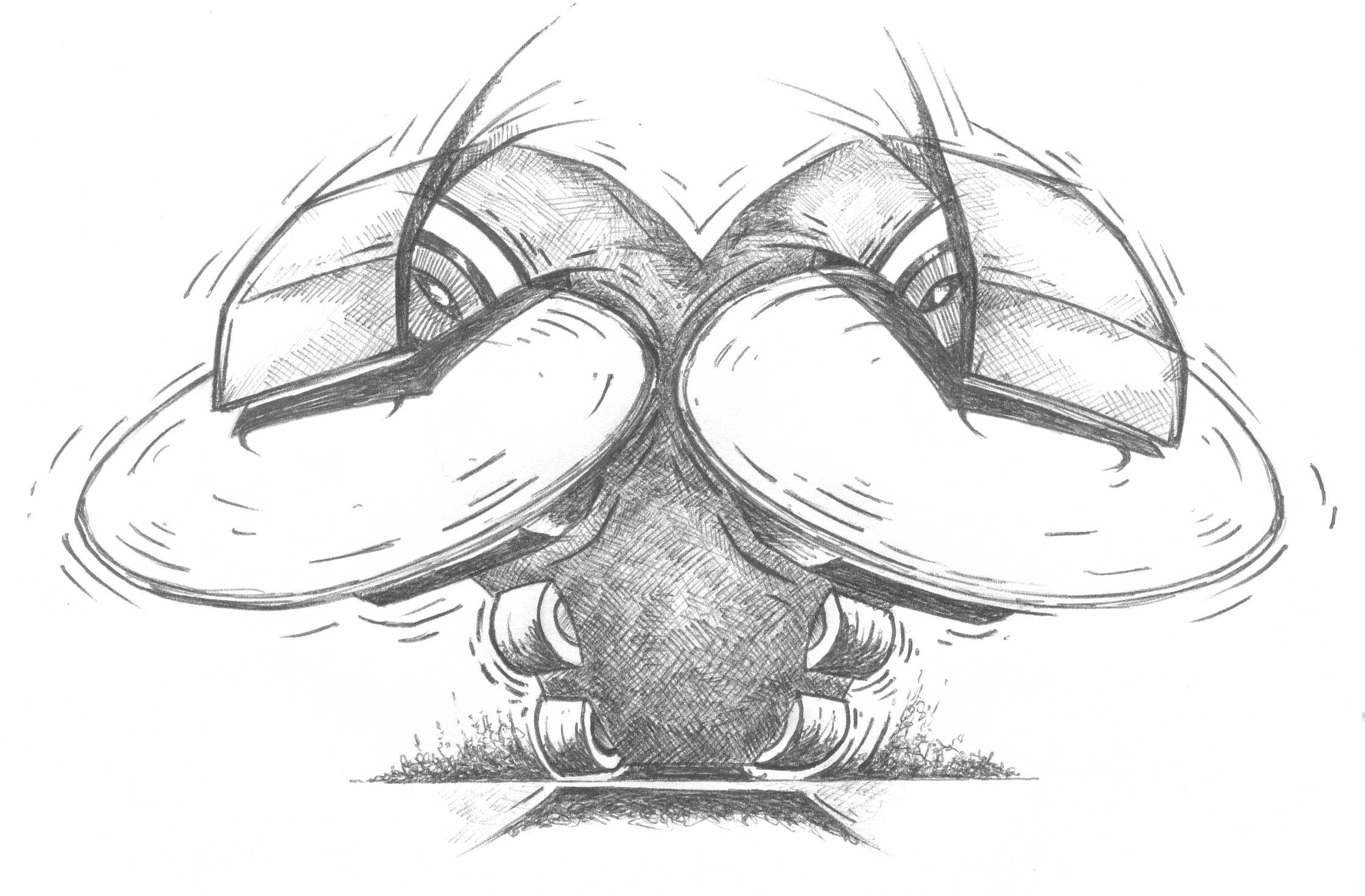 RossiDecimvs.JPG (242040 bytes)