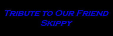 Tribute to Our Friend Skippy