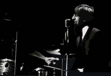 Ringo101.jpeg