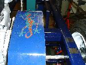 Painting of lizard on one of the guards