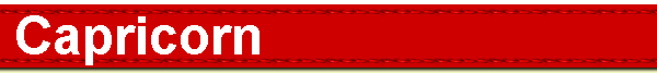  Capricorn 