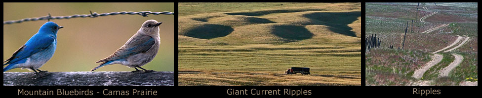 Camas Prairie Giant Current Ripples.