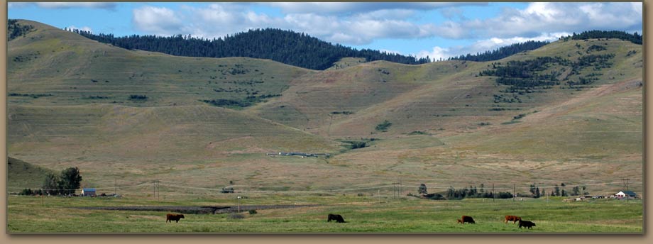 Glacial Lake Missoula strandlines above the Mission Valley.