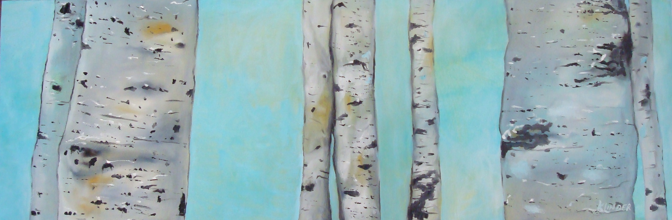 birch trees