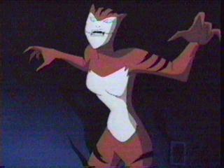 Don't pet the kitty!