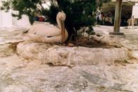 [P2] Mykonos, Greece, 1998