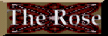 The Rose