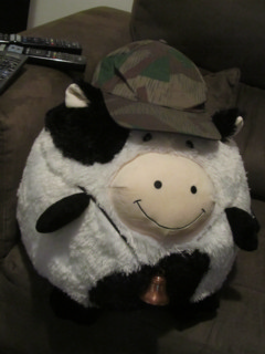 vacabonesplitter.jpg
549.88 KB 
1296 x 1728 
5/30/2013