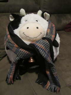 vacacachecol2.jpg
638.53 KB 
1296 x 1728 
5/30/2013