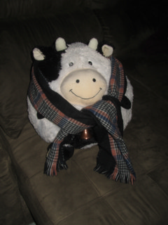 vacacachecol3.jpg
557.65 KB 
1296 x 1728 
5/30/2013