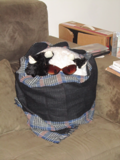 vacaenroladadeoculos.jpg
744.36 KB 
1296 x 1728 
5/30/2013