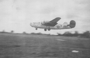 Little Rollo Inflight