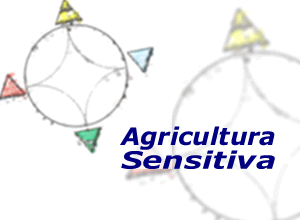 Contamos con un miembro de soporte t&eacute;cnico, avalado por el IFOAM