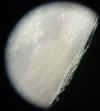 moon1021.jpg (33847 bytes)