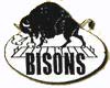 buffalo bisons 1924 football