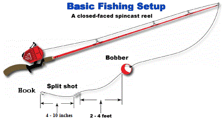 How to Set Up a Fishing Rod and Reel or Fishing Pole