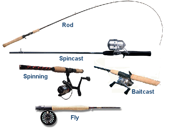 The Basic Fishing Equipment Needed