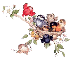 birds nesttrans.gif (39244 bytes)