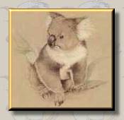 fb005tn.jpg (4856 bytes)