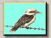 fb009tn.jpg (5179 bytes)