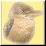 fb020tn.jpg (3086 bytes)