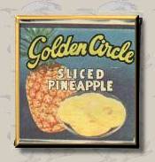 goldcircle.jpg (7558 bytes)