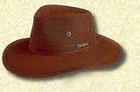 hat 1.jpg (3308 bytes)