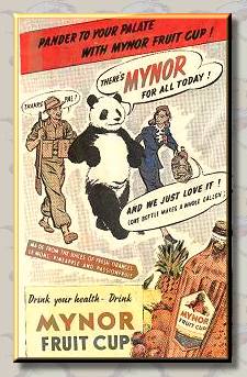 mynor.jpg (25758 bytes)