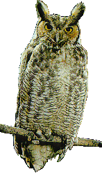 owlcl.gif (28907 bytes)