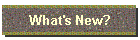 What's New?