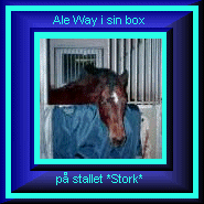 Ale Way, STORK-Stallets *lilla �lskling*!!!