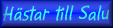 Till Salu.