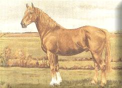 H�stN�tet Ringlogga