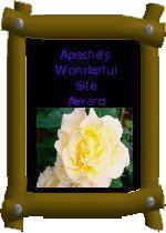 Apache's Home Page