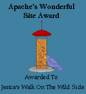 SunflowerSmile's Home Away from Home