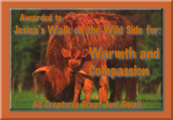 All Creatures Great And Small