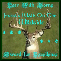 Deer With Horns Native American Indian Site