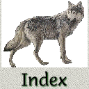 Wildlife Index