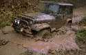 jeepw.jpg (10754 bytes)