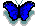 bluebutterfly.gif (987 bytes)