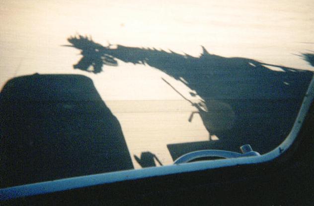 To see a bigger size of this picture click here!