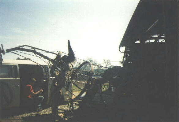 To see a bigger size of this picture click here!