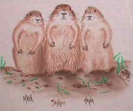 Miwako's Maya, Senbee, Hana