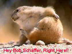 YYYEEEEAAAAAAHHHHHHHH!