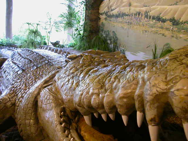 Reptile Park Picture Gallery
