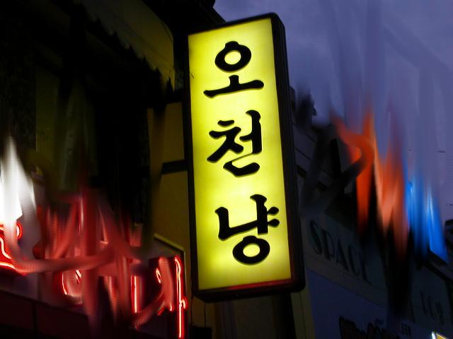 Photos of South Korea, its temples and neon signs and colourful anti-globalisation protests!