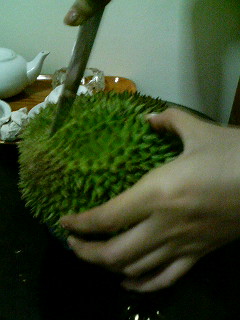 Durian the King of Fruits