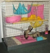 2 level ferret cage