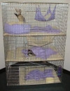3 level ferret cage