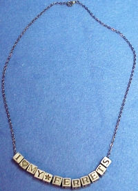 Stainless Steel Dishes